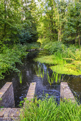 Obraz premium Watercourses with remnants of hydraulic experimental installations in the Waterloopbos in the Dutch province of Flevoland
