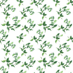 Watercolor seamless pattern with various aromatic plants
