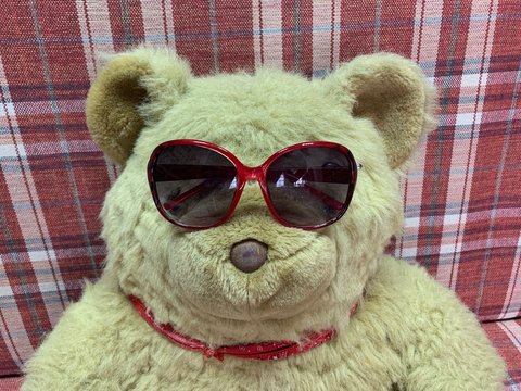 Teddy Bear In Sunglasses