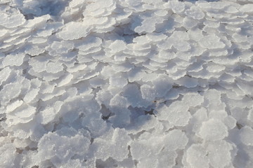 white crystals of salt on the estuary