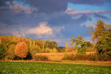 Fototapeta premium Autumnal landscape in Burgundy, France
