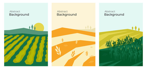 Vector illustrations with farm land, agricultural fields, hills and landscape. Summer and autumn nature. Banners with agriculture or farming. Set of abstract backgrounds. Flyer, poster, brochure cover © OlgaStrelnikova
