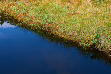 Hikers walking along the trail in a peat bog around a lake Latschensee. Tourists walking in nature reserve. Bavarian Forest National Park, Germany