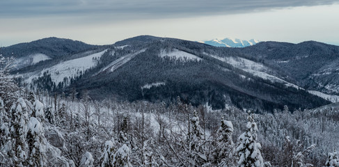 Kysucke Beskydy with highest Velka Raca hill and Zapadne Tatry mountains from Kykula hill above Oscadnica village on slovakian - polish borders during winter