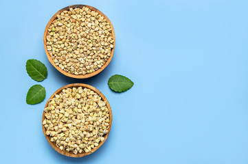 Green sprouted buckwheat in wooden bowls with green leaves on blue background. Flat lay top view copy space. Healthy vegan food, eco products, diet, organic. Sprout new life harvest season agriculture