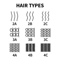 Vector illustration of hair types chart with all curl types, labeled. Curly girl method concept. Waves, coils and kinky hair