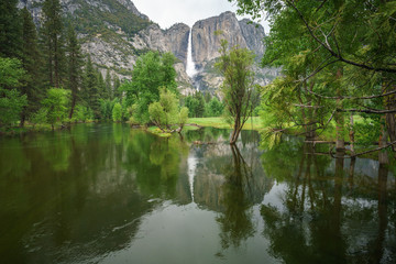 Fototapeta premium reflection of yosemite falls in merced river, yosemite national park, usa