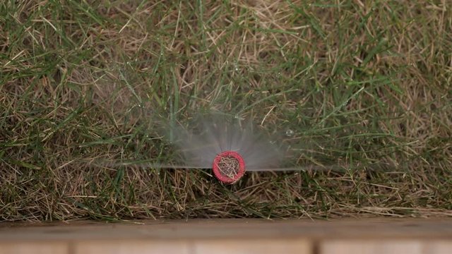 Underground Pop Up Sprinkler Spraying water on Lawn