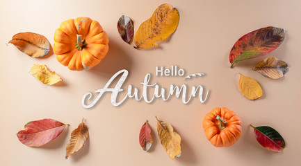 Autumn background decor from dry leaves and pumpkin on pastel paper background. Flat lay, top view with copy space for Autumn, fall, Thanksgiving concept.