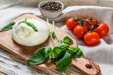 Italian mozzarella Burrata cheese with Basil leaves. Caprese salad. White background. Top view