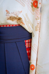Kimono Waist Closeup