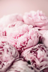 Pink peony flower on pastel background. Copy space. Floral composition. Wedding, birthday, anniversary bouquet. Woman day, Mother's day. Macro of peonies flowers