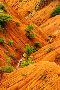 Arroyo.Mixteca. Estado de Oaxaca .M&eacute;xico.