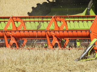 combine harvester in field