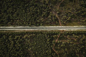 Aerial view of wild thick forest with road cutting through. Sunny day