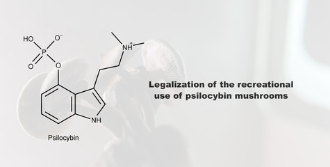 Legalization of the recreational use of psilocybin mushrooms, psilocybin and its effect on the...