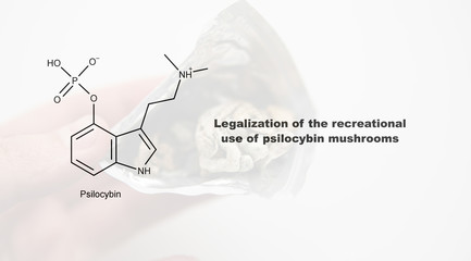 Legalization of the recreational use of psilocybin mushrooms, psilocybin and its effect on the human body