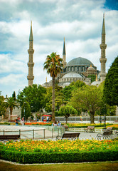 Blue Mosque in the distance at Sultanahmet Square.