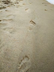 Fototapeta na wymiar Bare foot prints in the wet sand. Wet sand on the coast.