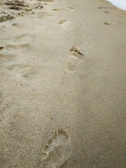 Bare foot prints in the wet sand. Wet sand on the coast.