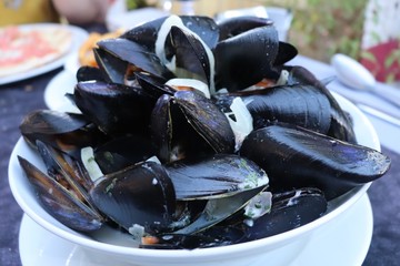 assiette de moules marinière, ville de Dax, département des Landes, France
