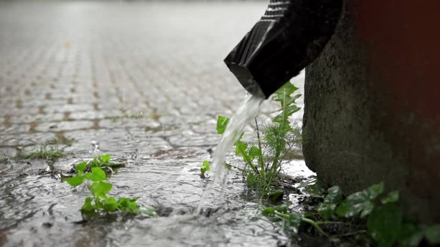 Rain water flowing roof drain gutter pipe on a paving stones, slow motion