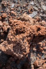 Piece of red barren clay. Red clay texture. Selective focus.