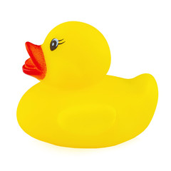 Yellow rubber duck isolated on white background.