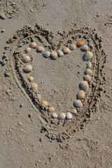 heart of shells on the sand