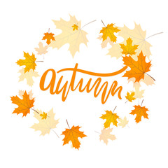 Vector handwriting word autumn. Hand drawn lettering autumn with maple leaves. Modern calligraphy.
