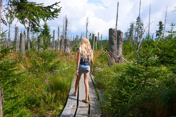 Child girl walking barefoot along a wooden walkway in a peat bog around a lake  Latschensee. Tourist walking in nature reserve. Bavarian Forest National Park, Germany