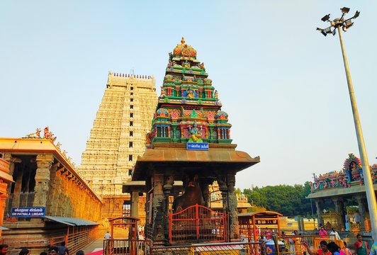 Tiruvannamalai Temple Nandhi