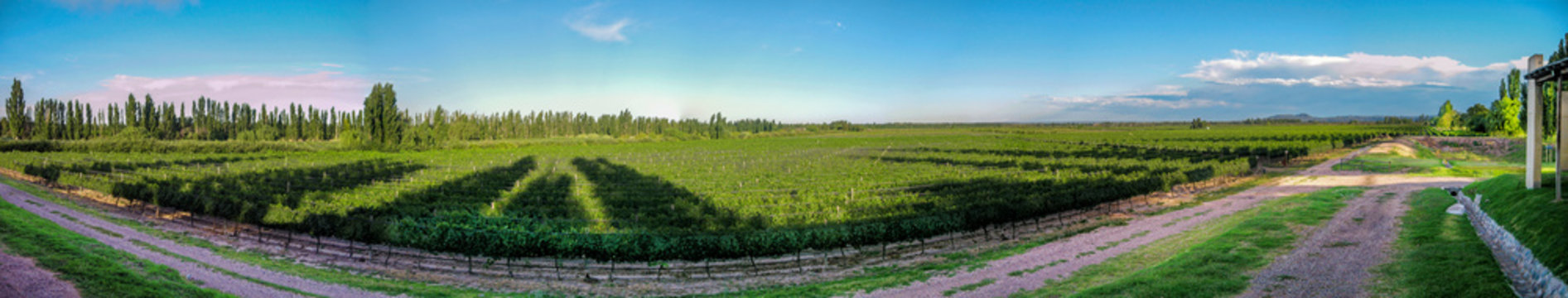 Panoramic view of a winery in Mendosa Argentina