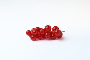 One sprig of red ripe currant