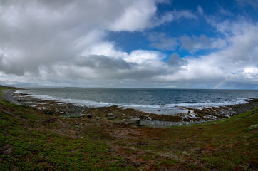 arctic ocean in summer