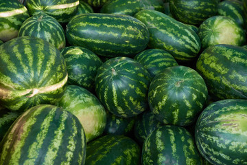 fresh watermelon on the market