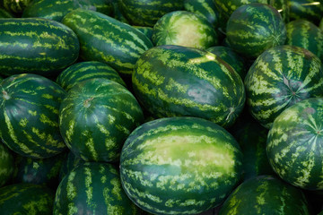 fresh watermelon on the market