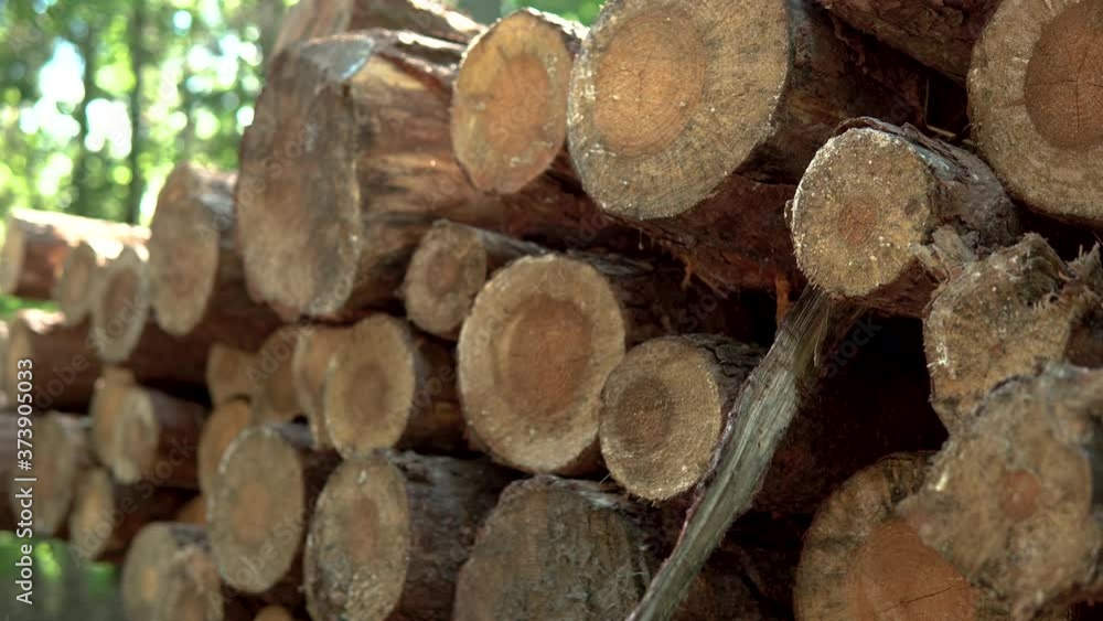 Poster stack of cut wood laid out on a cluster, tree prepared for processing, close up and macro, down to t