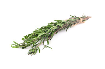 Rosemary isolated on white background