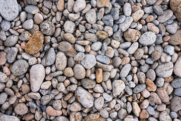 Une matière de petis galets sur une plage de Bretagne