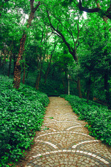 Path in the park in Istanbul