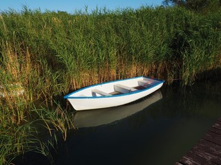 Naklejka na ściany i meble White wooden fishing boat at the reeds of the lake Balaton, Hungary in summer