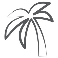 
Tropical tree with leaves shaped like a hand showing palm tree
