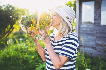 Happy smiling elderly senior woman in straw hat having fun posing in summer garden with flowers in basket. Farming, gardening, agriculture, retired old age people. Growing organic plants on farm