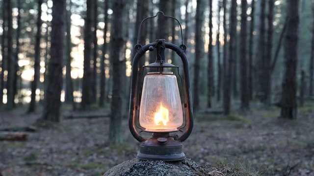 Mystical scene with old kerosene lantern in forest. Magic lantern lighting.