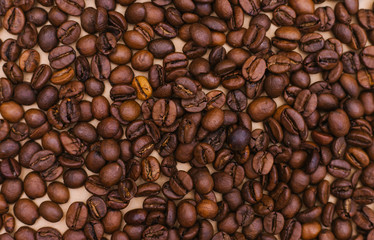 Coffee bean background. Dark-colored roasted coffee beans.