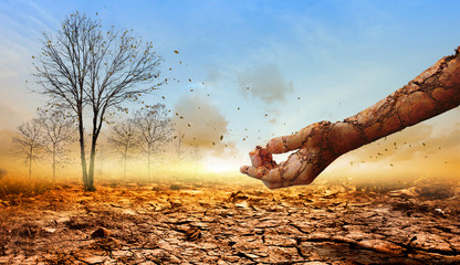 The dry, cracked hand from the dry ground on dead tree background.Concept of global warming.