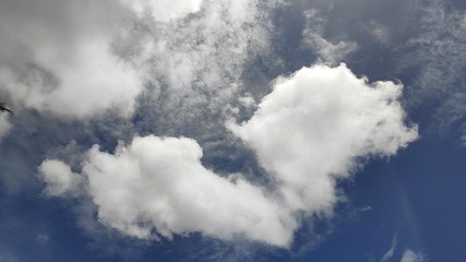 Obraz premium clouds in the sky