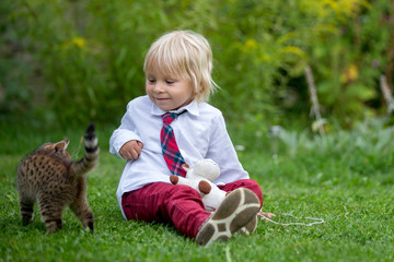 Cute child, boy, playing with little brown kitten in the park