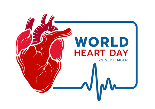 world heart day with red Real human heart Drawing sign line and blue frame Of Heart Rhythm Or Heart Wave vectir design